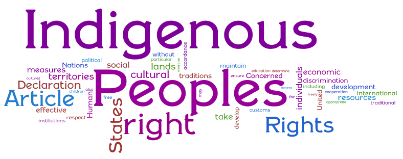 Wordle - top 50 -  of UN Declaration on Indigenous Rights