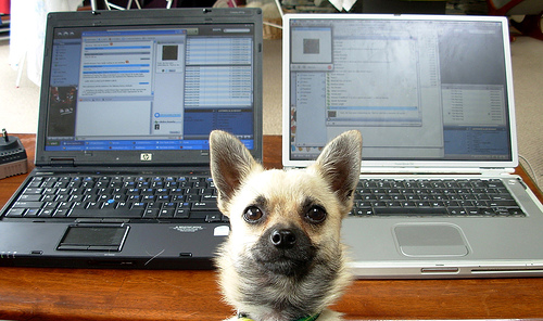 12 Working-with-technology practices that will make you a better virtual facilitator