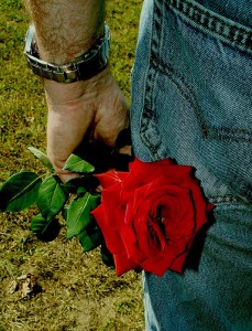 picture of rose-in-hand